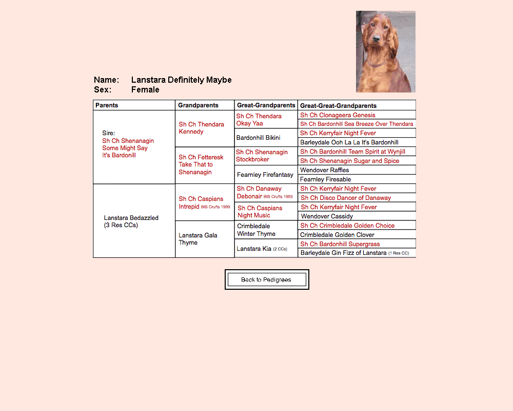 definitely maybe pedigree chart