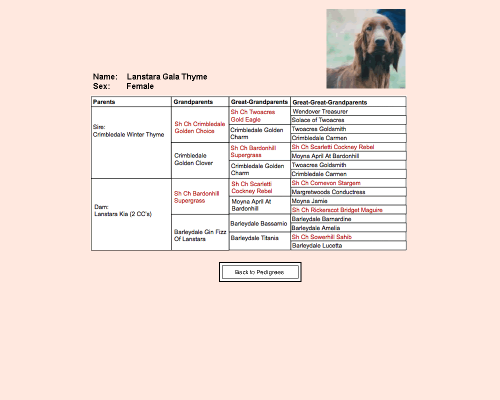 gala thyme pedigree chart